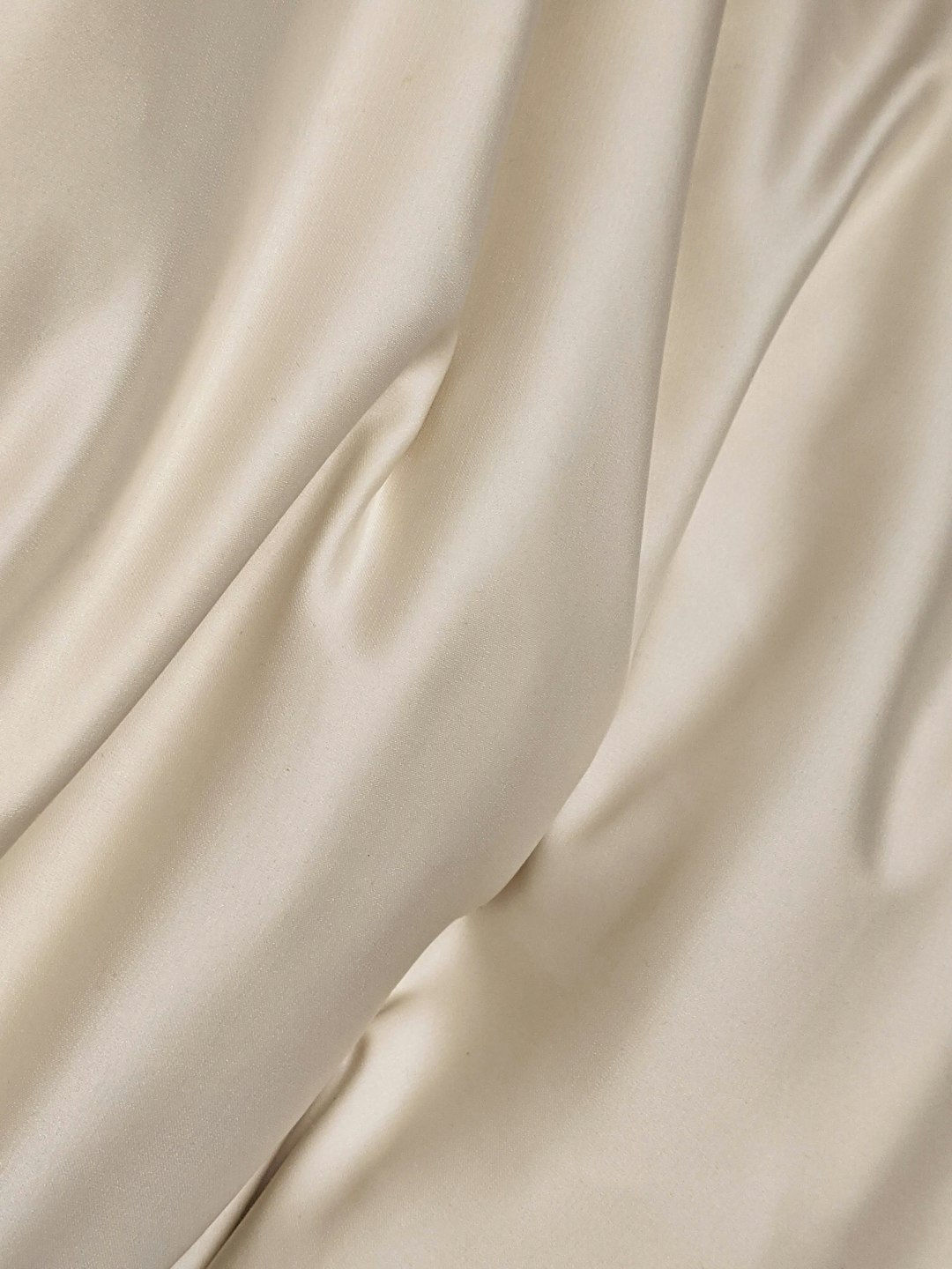 Close-up of a Silk Mark hologram tag on a Kanchipuram saree
